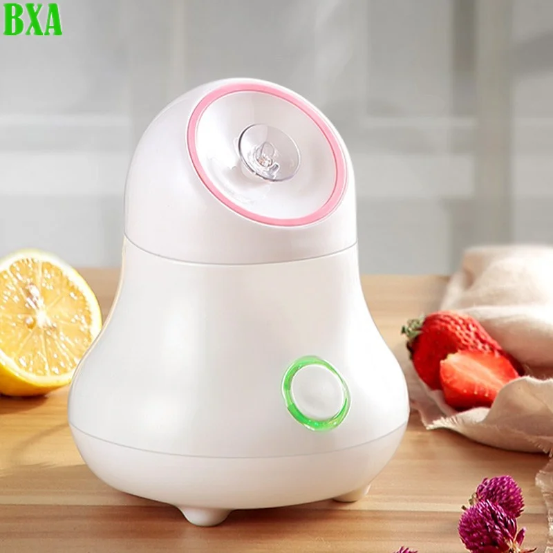 Facial Steamer Nano - Fruit En Groente Gezichtsstomer Nano-Ionische Gezichtsbevochtiger