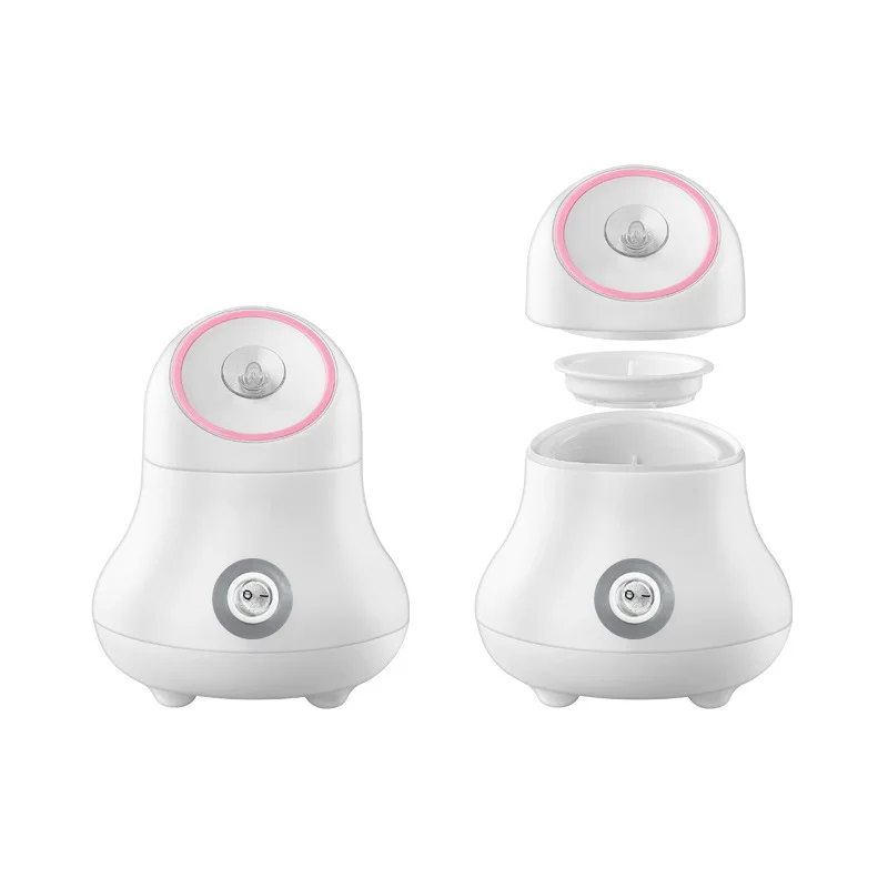 Fruit En Groente Gezichtsstome - Facial Steamer Nano recensie en prijs